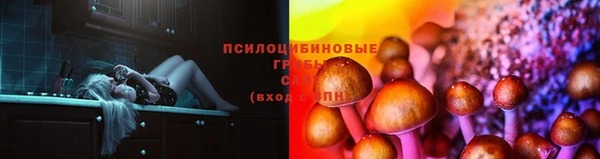 ПСИЛОЦИБИНОВЫЕ ГРИБЫ Алзамай