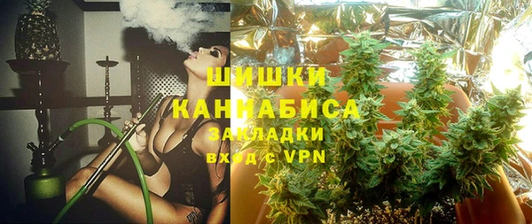 ПСИЛОЦИБИНОВЫЕ ГРИБЫ Алзамай