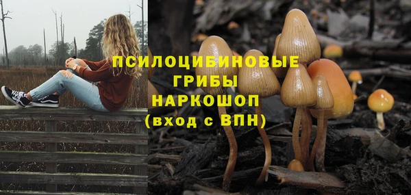 круглые Алексеевка