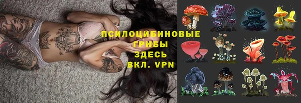 Альфа ПВП Алексин