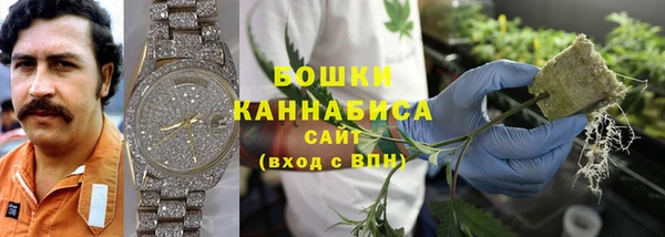 ПСИЛОЦИБИНОВЫЕ ГРИБЫ Алзамай