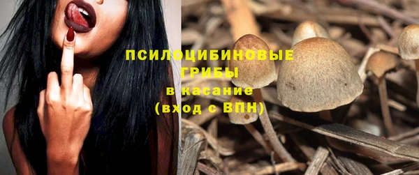 ПСИЛОЦИБИНОВЫЕ ГРИБЫ Алзамай