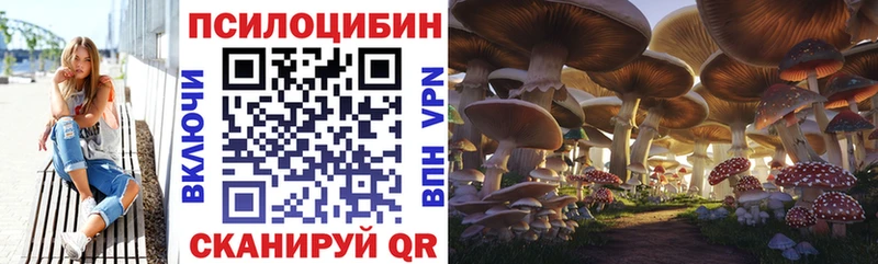 Псилоцибиновые грибы Cubensis  гидра сайт  Иланский 